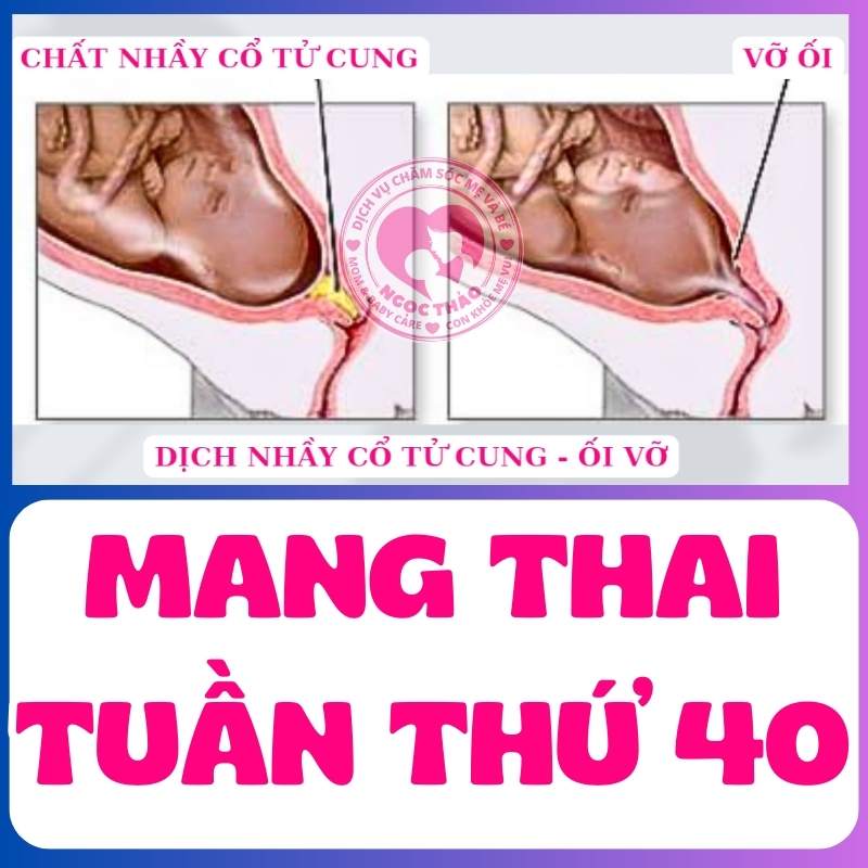 vỡ ối khi mang thai tuần 40